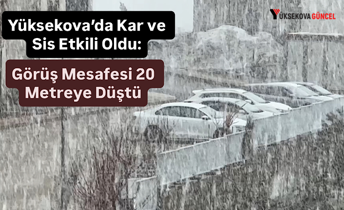 Yüksekova’da Kar ve Sis Etkili Oldu: Görüş Mesafesi 20 Metreye Düştü
