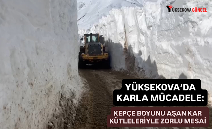 Yüksekova’da karla mücadele: Kepçe boyunu aşan kar kütleleriyle zorlu mesai