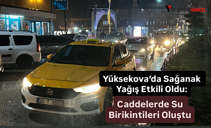 Yüksekova’da Sağanak Yağış Etkili Oldu: Caddelerde Su Birikintileri Oluştu