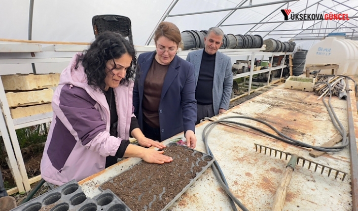 Yüksekova’da Yeşil Alanlar İçin Hazırlıklar Sürüyor