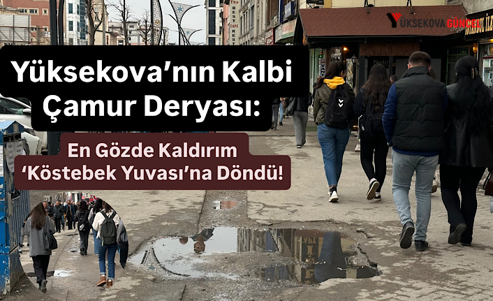 Yüksekova’nın Kalbi Çamur Deryası: En Gözde Kaldırım ‘Köstebek Yuvası’na Döndü!
