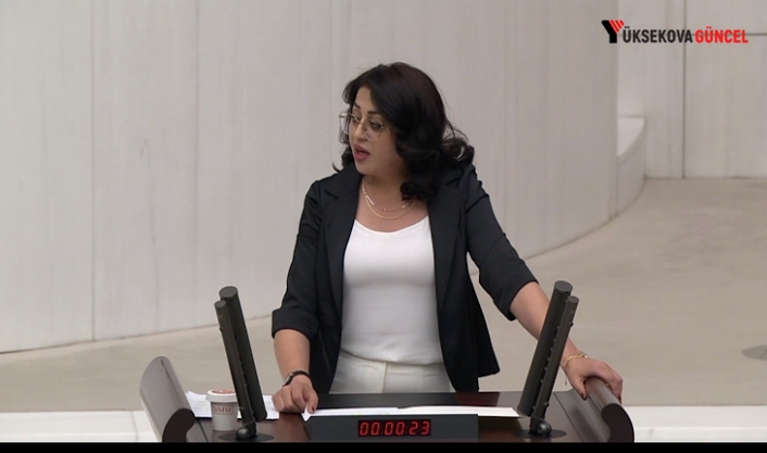 DEM Partili Bartin: “Türkiye Tarımı Tarihsel Bir Çöküşün İçinde”