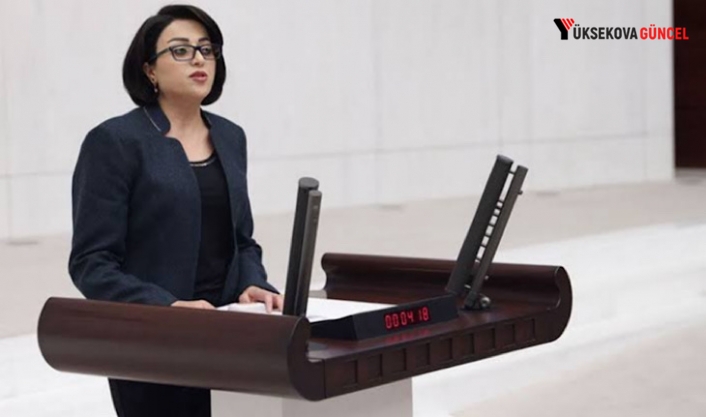 Hakkâri’de Taşkın Alarmı Meclis Gündeminde: Bartin’den ilgili Bakanlıklara Soru Önergesi