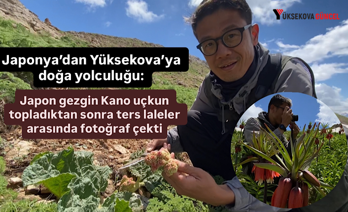 Japonya’dan Yüksekova’ya doğa yolculuğu: Japon gezgin Kano uçkun topladıktan sonra ters laleler arasında fotoğraf çekti