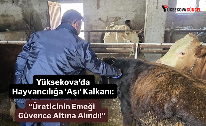 Yüksekova’da Hayvancılığa 'Aşı' Kalkanı: Üreticinin Emeği Güvence Altına Alındı!"