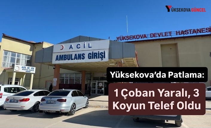 Yüksekova’da Patlama: 1 Çoban Yaralı, 3 Koyun Telef Oldu