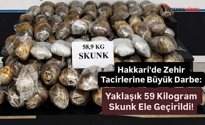 Hakkari'de Zehir Tacirlerine Büyük Darbe: Yaklaşık 59 Kilogram Skunk Ele Geçirildi!