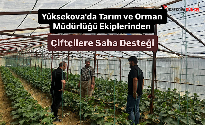 Yüksekova'da Tarım ve Orman Müdürlüğü Ekiplerinden Çiftçilere Saha Desteği