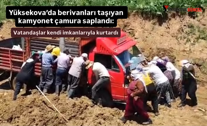 Yüksekova’da berivanları taşıyan kamyonet çamura saplandı: Kadınlar kendi imkanlarıyla kurtardı