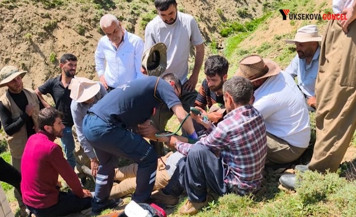 Yüksekova’da nefes kesen kurtarma: Yaylada fenalaşan çoban için sağlık ekipleri seferber oldu