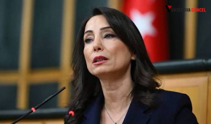 DEM Parti’den süreç için öneriler: Tülay Hatimoğulları 4 maddeyi açıkladı