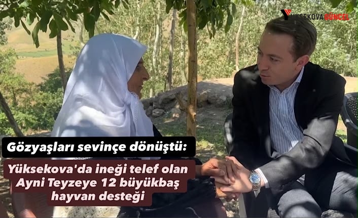 Gözyaşları sevinçe dönüştü: Yüksekova'da ineği telef olan Ayni Teyzeye 12 büyükbaş hayvan desteği