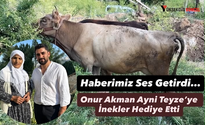 Haberimiz Ses Getirdi: Onur Akman Ayni Teyzeye İnekler Hediye Etti
