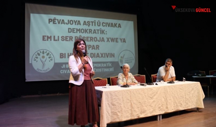 Meral Danış Beştaş: ‘Gelinen aşamada temel beklenti çerçeve yasanın çıkarılması’