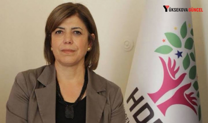 Meral Danış Beştaş: "Kürt meselesi bir terör değil, demokrasi meselesidir"