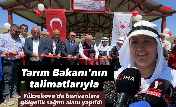 Tarım Bakanı'nın talimatlarıyla Yüksekova’da berivanlara gölgelik sağım alanı yapıldı