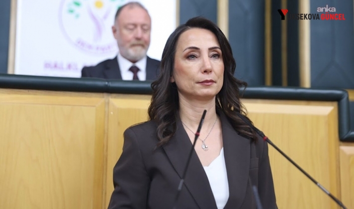 Tülay Hatimoğulları: Öcalan ‘kök yasaya’ dair hazırlık yapmış, devlet ile de paylaşılmış