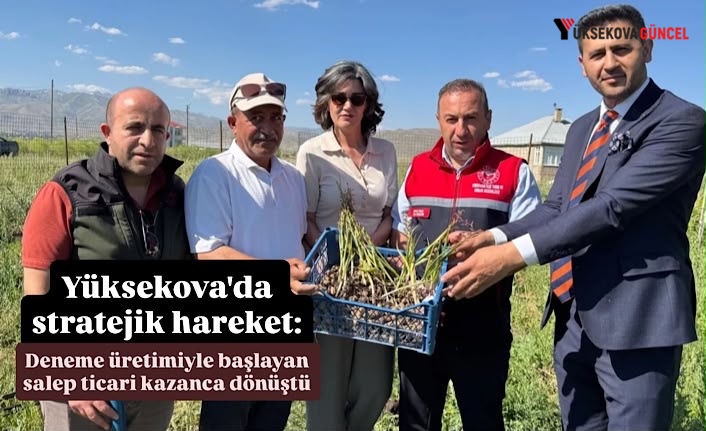 Yüksekova'da stratejik hareket: Deneme üretimiyle başlayan salep ticari kazanca dönüştü
