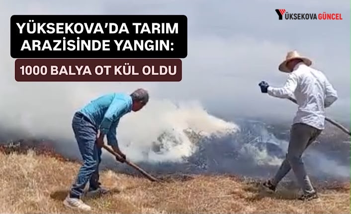 Yüksekova'da tarım arazisinde yangın: 1000 balya ot kül oldu