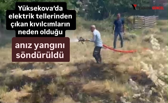 Yüksekova’da elektrik tellerinden çıkan kıvılcımların neden olduğu anız yangını söndürüldü