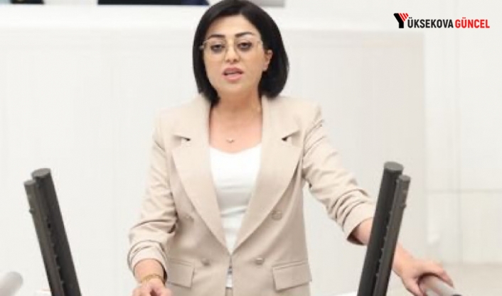Yüksekova’da Tutuklanan 18 Yaşındaki Genç İçin TBMM’ye Soru Önergesi ve İnsan Hakları Başvurusu