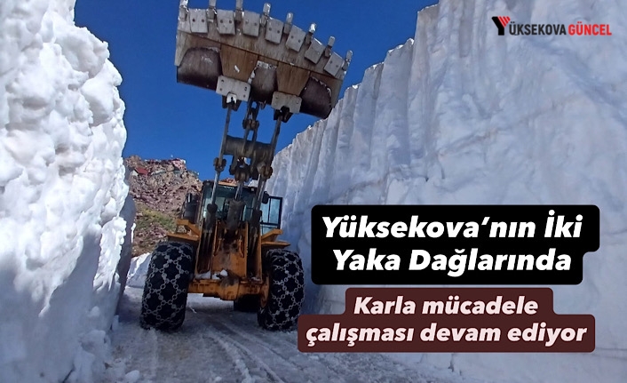 Yüksekova’nın İki Yaka Dağlarında Karla Mücadele Devam Ediyor