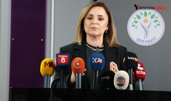 Ayşegül Doğan: ‘Eksikler nedeniyle Çerçeve Yasaya sırt çevirmemiz gerekmiyor’