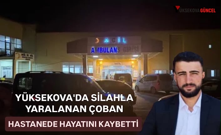 Yüksekova'da silahla yaralanan çoban hastanede hayatını kaybetti