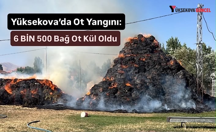 Yüksekova’da Ot Yangını: 6 Bin 500 Bağ Ot Kül Oldu