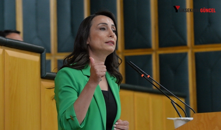 Tülay Hatimoğulları: ‘Öcalan’ın koordinatörlüğünü üstleneceği kurul faaliyete geçmeli’