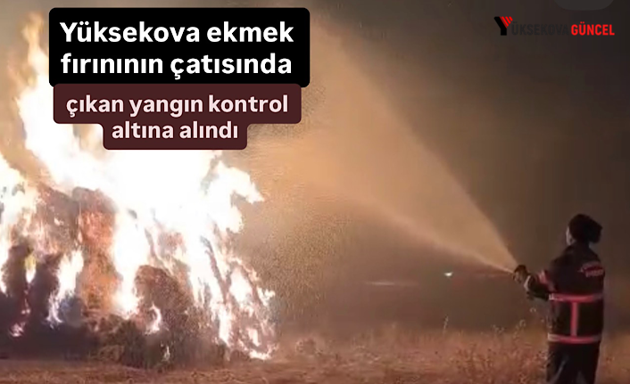 Yüksekova’da çıkan yangında 5 bin bağ ot kül oldu