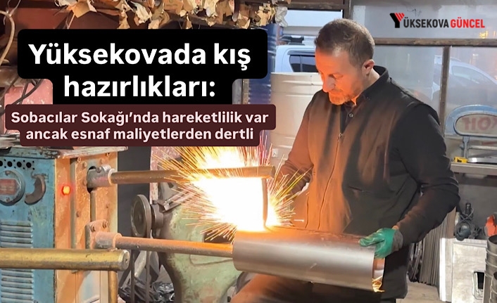 Yüksekovada kış hazırlıkları: Sobacılar Sokağı’nda hareketlilik var ancak esnaf maliyetlerden dertli