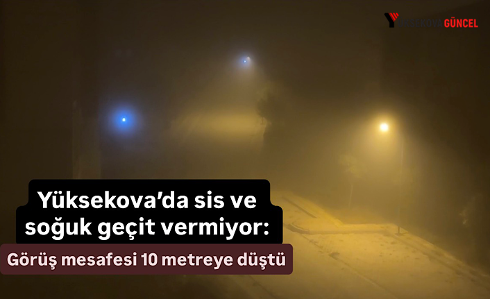 Yüksekova’da sis ve soğuk geçit vermiyor: Görüş mesafesi 10 metreye düştü