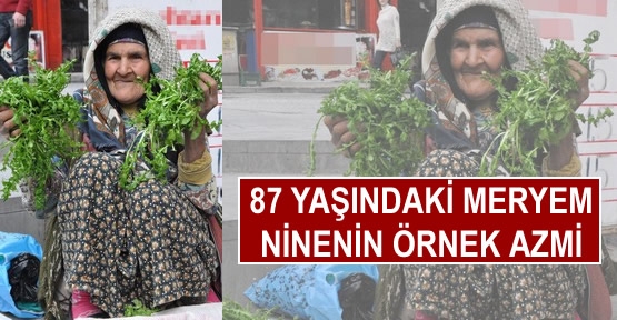 87 yaşındaki Meryem ninenin örnek azmi