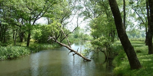 Bakanlık İğneada’yı daha önce turizm kenti ilan etmiş