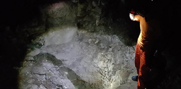 Define ararken ormanı yaktılar