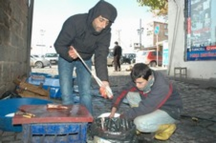 Dicle'de kirlilik balıkları yok ediyor!
