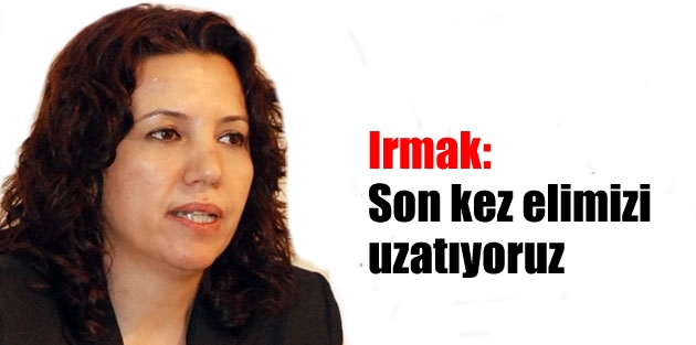 DTK Eş Başkanı Irmak: Son kez elimizi uzatıyoruz
