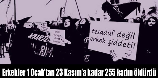 Erkekler 1 Ocak’tan 23 Kasım’a kadar 255 kadın öldürdü