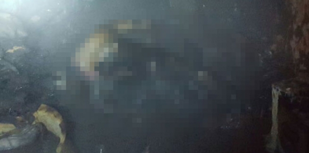 Feci şekilde can verdi!