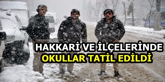 Hakkari Ve İlçelerinde Okullar Tatil Edildi