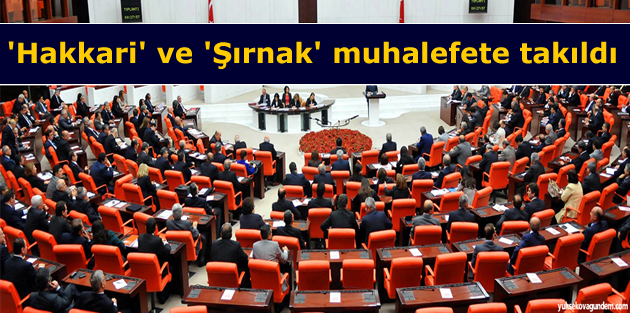 'Hakkari' ve 'Şırnak' muhalefete takıldı
