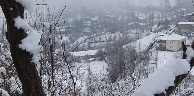 Hakkari’de 112 yerleşim yerinin yolu kapandı