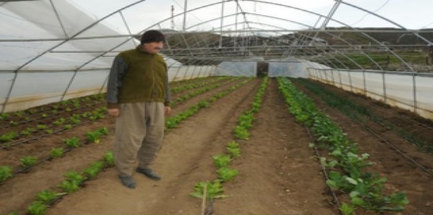 Şemdinli'de fırtına okulun çatısını uçurdu, seralara zarar verdi