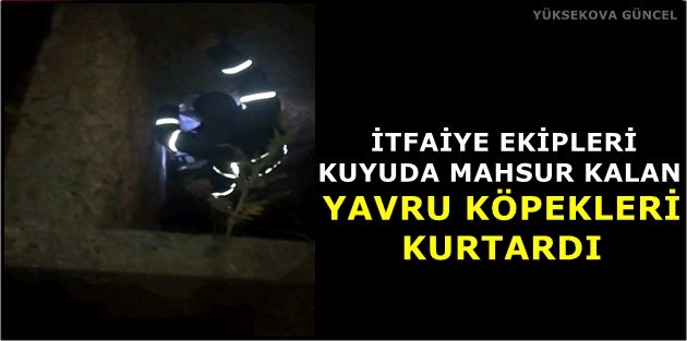 İtfaiye Ekipleri 3 Gündür Kuyuda Mahsur Kalan Yavru Köpekleri Kurtardı