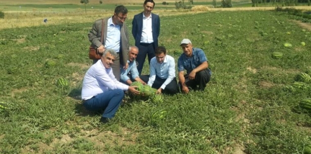 Müdür Şimşek Bitkisel Üretim ve Demonstrasyon Çalışmalarını İnceledi