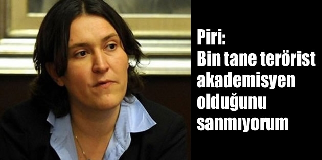 Piri: Bin tane terörist akademisyen olduğunu sanmıyorum