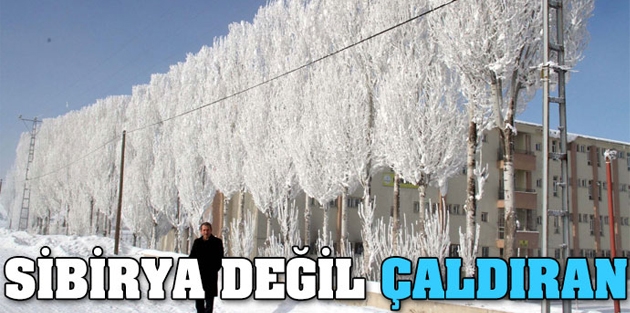 Sibirya değil Çaldıran