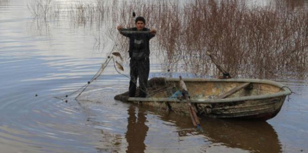 Tarlada balık avı!