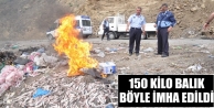 150 Kilo Balık Böyle İmha Etti